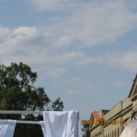 photo18.jpg