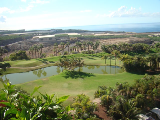 dsc00445.jpg