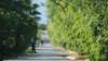 dsc00462_small.jpg