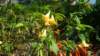 dsc00463_small.jpg