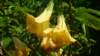 dsc00464_small.jpg