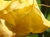 dsc00466_small.jpg