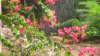 dsc00469_small.jpg