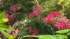 dsc00470_small.jpg