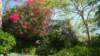 dsc00471_small.jpg