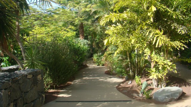 dsc00472.jpg