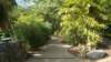 dsc00472_small.jpg