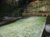 dsc00473_small.jpg