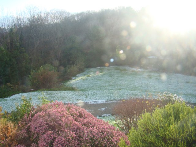 dsc00475.jpg