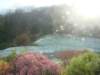 dsc00475_small.jpg