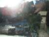 dsc00476_small.jpg