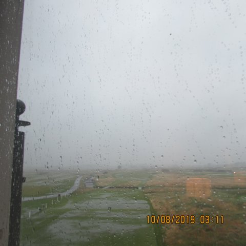 photo2.jpg
