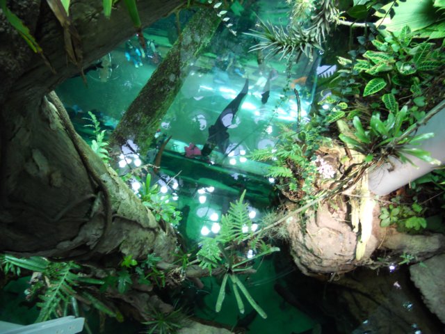 dscn0246.jpg