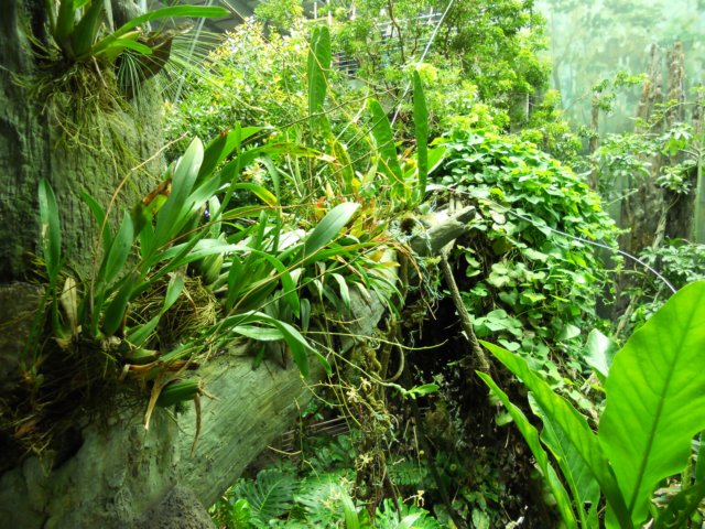 dscn0247.jpg