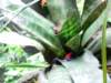dscn0250_small.jpg