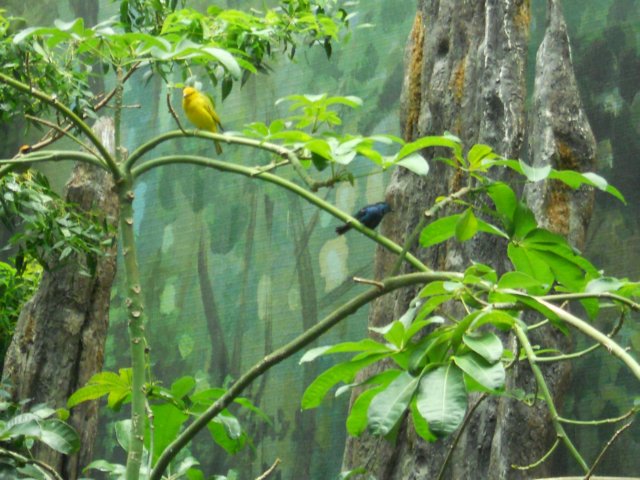 dscn0252.jpg