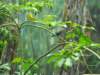 dscn0252_small.jpg