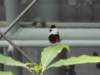 dscn0259_small.jpg