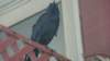 dsc00800_small.jpg