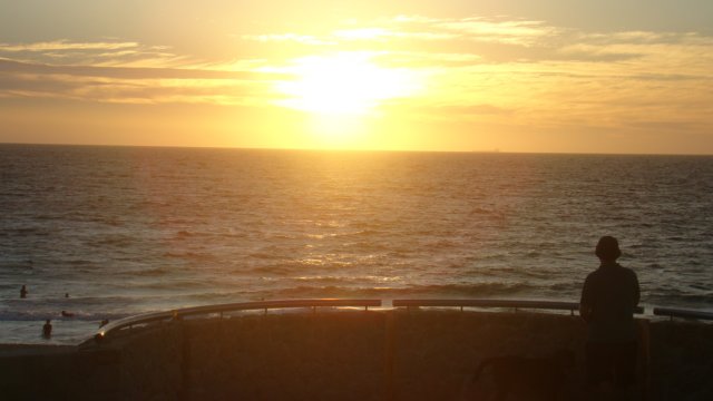 dsc00804.jpg