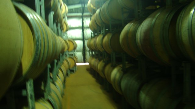 dsc00855.jpg
