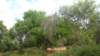 dsc00857_small.jpg