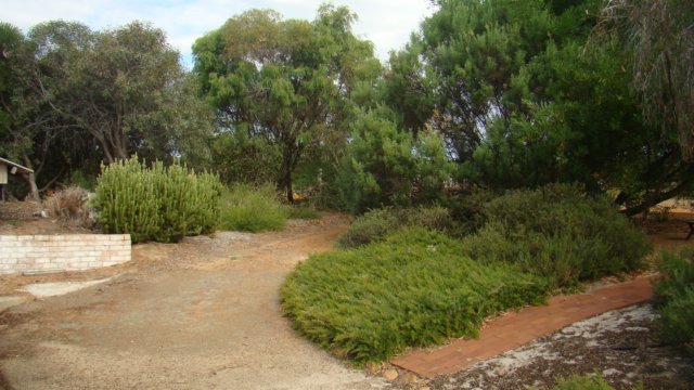dsc00859.jpg