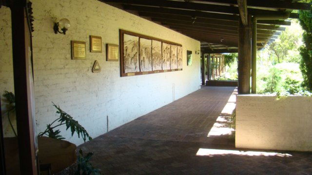 dsc00866.jpg
