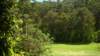 dsc00867_small.jpg