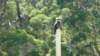 dsc00868_small.jpg