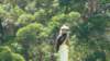 dsc00869_small.jpg