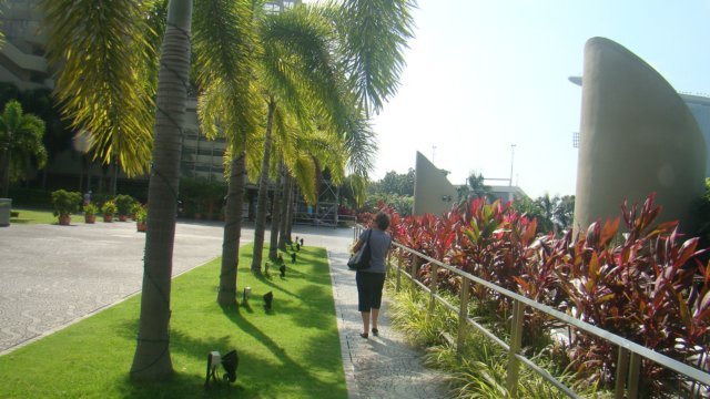 dsc00890.jpg