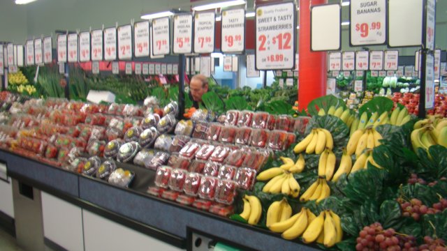 dsc00787.jpg