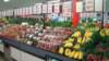 dsc00787_small.jpg