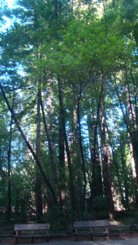 dsc00668.jpg