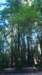 dsc00668_small.jpg