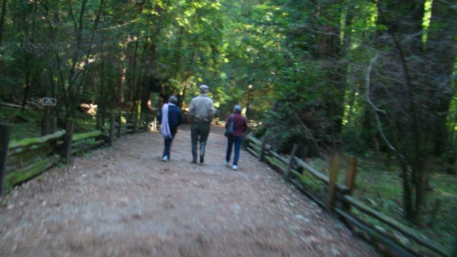 dsc00670.jpg
