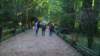 dsc00670_small.jpg