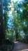 dsc00671_small.jpg