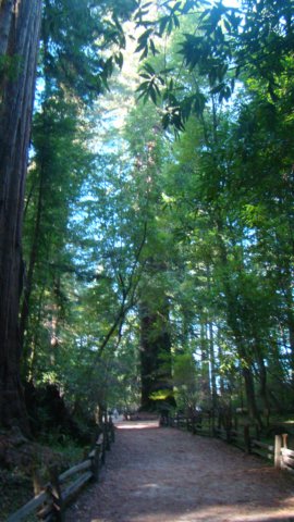 dsc00672.jpg