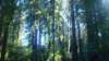 dsc00673_small.jpg