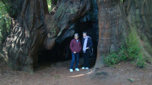 dsc00675.jpg