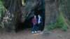 dsc00675_small.jpg