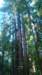 dsc00676_small.jpg