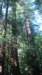 dsc00677_small.jpg