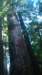 dsc00680_small.jpg