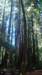 dsc00681_small.jpg