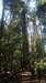 dsc00682_small.jpg