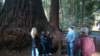 dsc00683_small.jpg