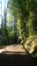 dsc00684_small.jpg